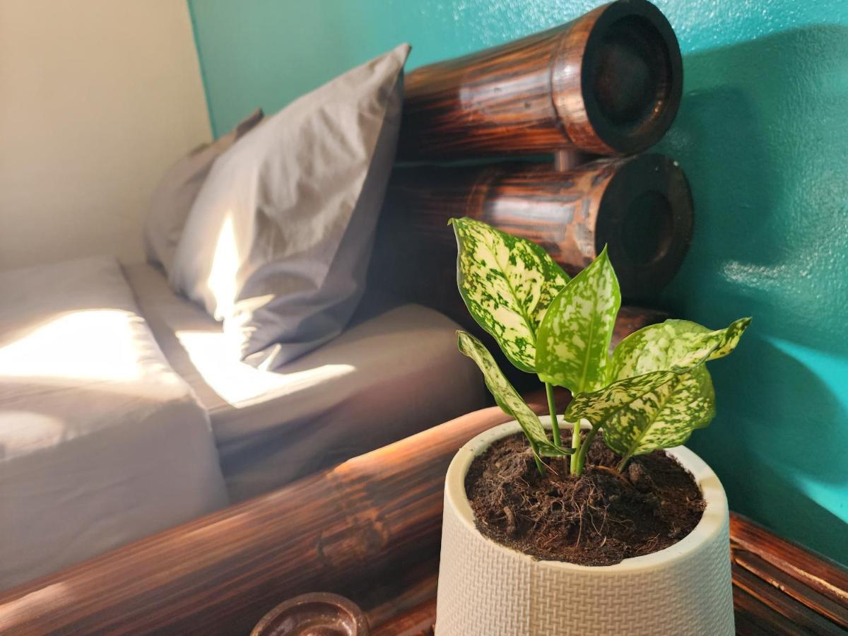 Blue Moon House - A Budget Hostel For Easy Travellers Чиангмай Екстериор снимка